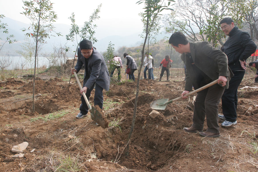 唐书记和老师们一起植树